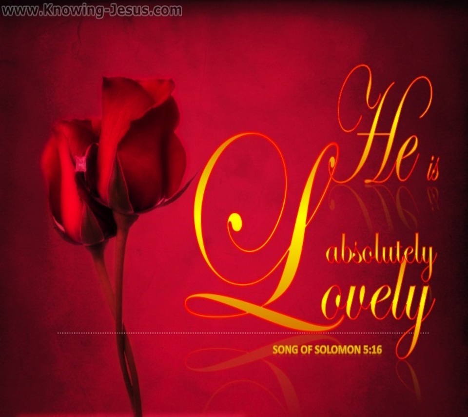 Song of Solomon 5-16 He Is Altogether Lovely (gold)